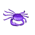 STL.stl CCRUSTACEAN CRAB WATER RIVER OCEAN SEA ANIMAL Anatomy FISH Pike 5