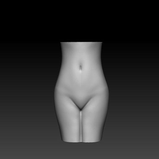 female vase1.jpg Télécharger fichier OBJ gratuit Vase féminin • Design pour imprimante 3D, h3ydari96