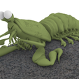 langostita.png FLEXI Stomatopoda-Langosta Mantis