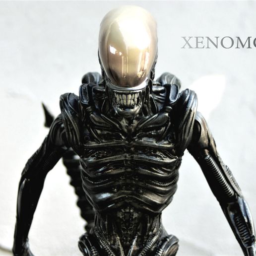 124582313_1312013605817475_908590302532950904_o.jpg xenomorph