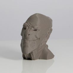 A1.jpg Бесплатный STL файл ACHFOS - Alien Creature Head From Outer Space・3D-печатная модель для загрузки, Sculptor