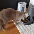 20190511_105523.jpg Fully automatic cat feeder
