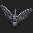 venomoth.jpg Pokemon - Venonat and Venomoth