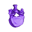 t12.stl Spine