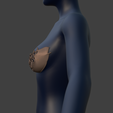 Screenshot-2026-01-19-212800.png Thornlace Bra Cups