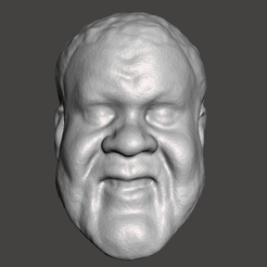 Screenshot-1272.png Файл STL WWE WWF LJN Style Junk Yard Dog Head Sculpt・Модель для загрузки и 3D-печати