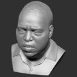 21.jpg The Notorious B.I.G. bust 3D printing ready stl obj formats