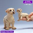 7.jpg Labrador retriever realistic dog articulated flexi toy (STL & 3MF)