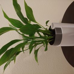 Self-Watering Planter (Small)
