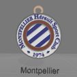 Montpellier.jpg French Ligue 1 all teams logos printable