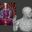 Tool.png Tool Band Art: Lateralus: Alex Grey