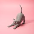 3D-tails-funny-stretching-cat-obj-7.jpg Stretching cat