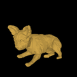 model-8.png DOG - YORKIE- DOG LAYING - CUTE DOG - PUPPY - PUPPIES - PUP - YORKSHIRE TERRIER