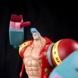 IMG_7070.jpg One Piece - Franky