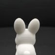 Cod2052-Bunny-Picking-Up-Carrot-7.jpeg 3D file Bunny Picking Up Carrot・3D printable model to download, Usagipan3DStudios