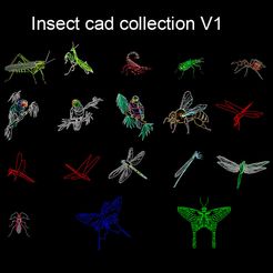 Insect-cad-collection-V1.jpg Insect cad collection V1