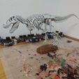T-Rex Skeleton, Stalloss