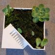 20181112_120451.jpg Flower pot cube staircase