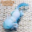 MMM_Icelotl_03.jpg Adorable Articulated Axolotl, Print-In-Place Body, Snap-Fit Head, Cute Flexi