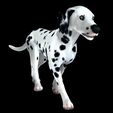 03.jpg DOG - DOWNLOAD Dalmatian 3d model - Animated for blender-fbx- Unity - Maya - Unreal- C4d - 3ds Max - CANINE PET GUARDIAN WOLF HOUSE HOME GARDEN POLICE  3D printing DOG DOG