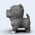 american-bully-color.234.png FUNKO POP DOG (AMERICAN BULLY)