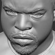 20.jpg Ice Cube bust 3D printing ready stl obj formats