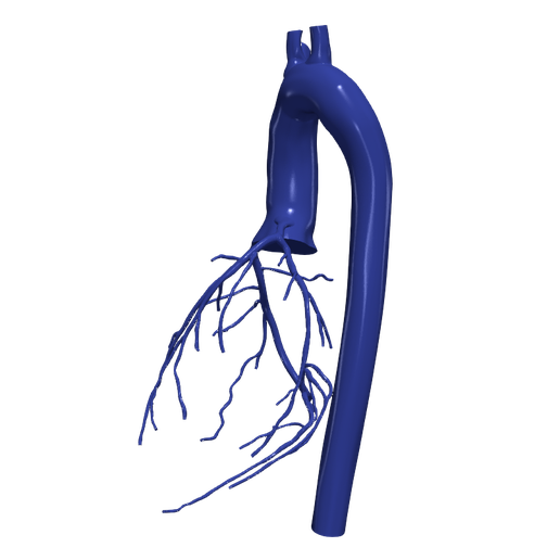2.png 主动脉和冠状动脉 3D 模型 - 6 件装