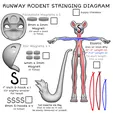 il_1588xN.4798658759_53vx.webp [Ball Jointed Doll] Runway Rodent BJD - (For FDM and SLA Printing)