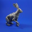 hare_square_4.jpg The Fabled Hare (A 3D Printed Ball-jointed Doll)