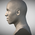 Zrzut-ekranu-2025-05-26-212227.png Busto de Reggie Miller para impressão 3D