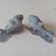 C.jpg Shark Earrings- S203D20