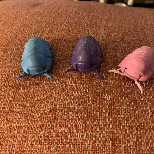 Cubaris Rubber Ducky Isopod Roly Poly