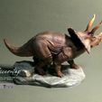 triceratop17.jpg Triceratops