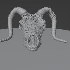Skull_01.jpg Fichier STL Crâne de chèvre ou de montagne en filigrane avec corne・Idée pour impression 3D à télécharger, abhijitraja