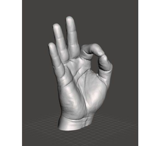 fd4c8e59b8a7add298869bd9fef2417c_preview_featured.JPG Right Hand Model