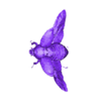 STL.stl INSECTO ABELHA FORMIGA FEITICEIRA FEITICEIRA Escaravelho rinoceronte ÁGUA RIO ANIMAL Anatomia 3