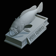 White-grouper-open-mouth-statue-63.png fish white grouper / Epinephelus aeneus open mouth statue detailed texture for 3d printing