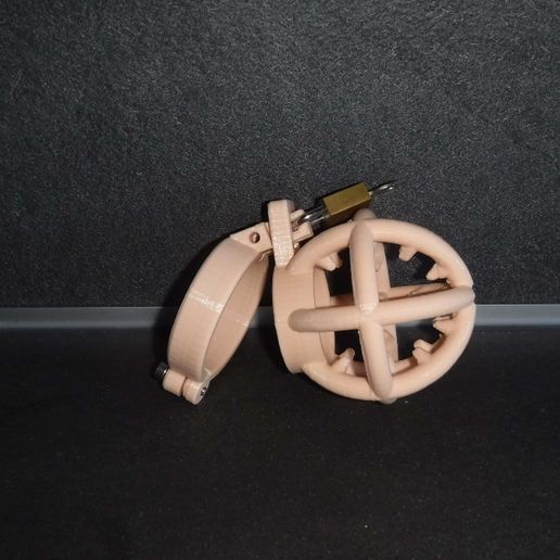 A cage of chastity for very wicked mistress - 3D model önizlemesi