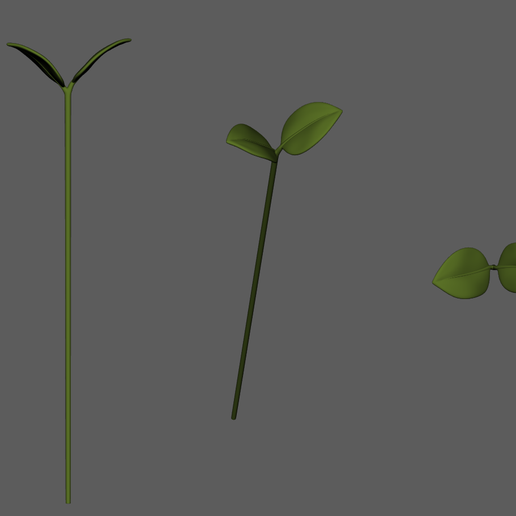 bookPageSeparate 3D model