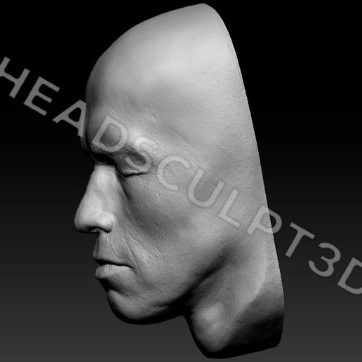 ArnoldSchwarzenegger_Head3dScan16.jpg 3D-сканированное изображение головы Арнольда Шварценеггера Lifecast Head (Терминатор, T800, Хищник, Конан-варвар, Коммандос, Полный отзыв, Правдивая ложь, Бегущий человек)