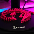 Fire-Dragon4.png Articulated Dragons Set | 3 flexi dragons | + SNAKE
