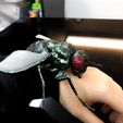 IMG_5006.jpg A lovely FLY
