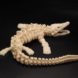 mosasaurus-skeleton4.jpg mosasaurus flexi skeleton
