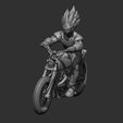 2.jpg Vegeta - Motorcycle - Dragon Ball Z