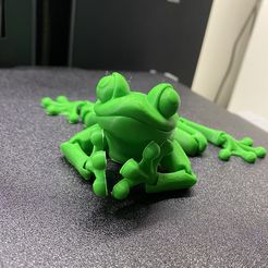 Niedlicher Flexi Print-in-Place Frosch