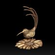 56765432.jpg colibri humming bird