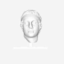 Capture d’écran 2018-09-21 à 18.12.02.png Бесплатный STL файл Head of a Victorious Athlete of the Diadumenos type at The Louvre, Paris・3D-печатная модель для загрузки