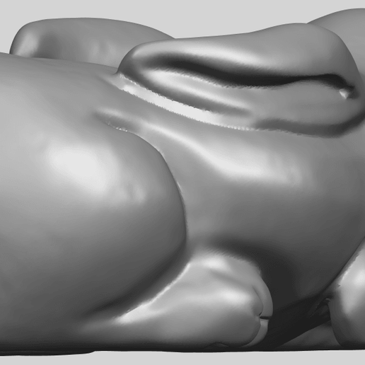 12_TDA0318_RabbitA05.png Rabbit