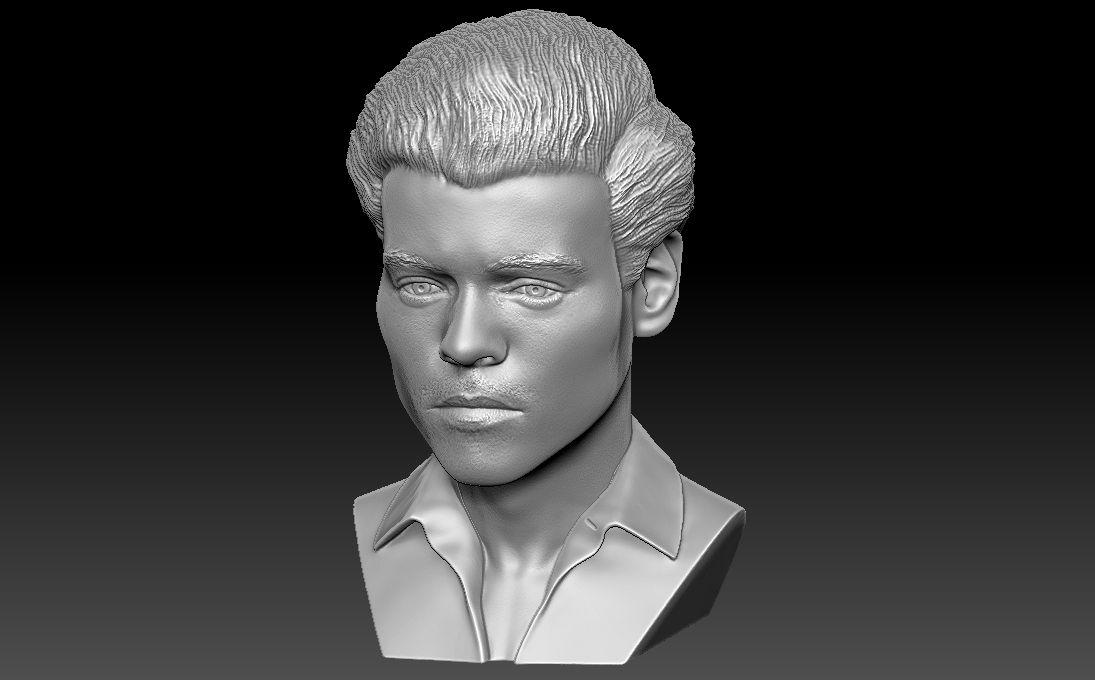 15.jpg Télécharger fichier Impression 3D du buste d'Harry Styles aux formats stl obj prêts à l'emploi • Design pour impression 3D, PrintedReality