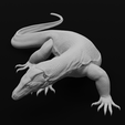 Pose11-min.png Asian Water Monitor - Realistic Lizard Reptile - Varanus Salvator